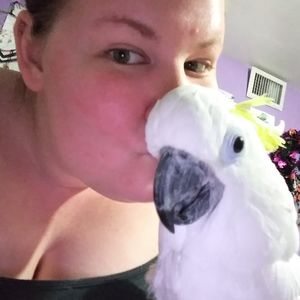 Meet your Posher, Cassandra